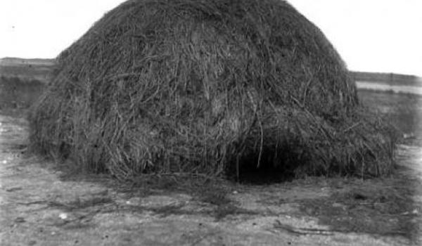 A grass-clad dome from the coastal plains of the southern Gulf of Carpentaria, designed for both wet-season use (Dec to Mar) and mosquito protection. The purpose of the small entrance is ease of sealing, once the occupants are inside. The photo was taken near Normanton in the period 1893-1910. (Photograph: Roth.)
