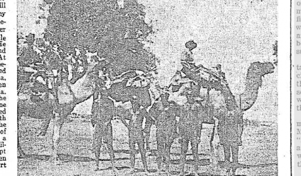 Constable Vigo (on left) returns to Oodnadatta with camel team and five aborigines as prisoners. Article: http://tiny.cc/trove-1933-article