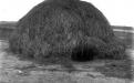 A grass-clad dome from the coastal plains of the southern Gulf of Carpentaria, designed for both wet-season use (Dec to Mar) and mosquito protection. The purpose of the small entrance is ease of sealing, once the occupants are inside. The photo was taken near Normanton in the period 1893-1910. (Photograph: Roth.)