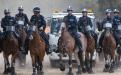 Mounted Police arrive at Matagarup (Heirisson Island) - Picture: Mogens Johansen 'The West Australian'
