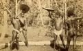 Four rainforest men demonstrating the art of combat, Far North Queensland, in the late 1800s to early 1900s. 