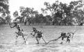 This photo likely shows men tracking game, going by the handwritten annotation on the bottom left. Taken about 1900 - Charles Kerry / IDIDJ Australia