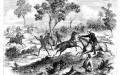 Fighting near Creen Creek, Queensland in September 1876